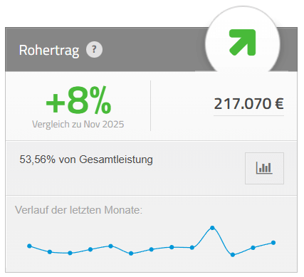 Rohertrag mit einem Plus von 8 Prozent im Vergleich zu November 2025 und einem Gesamtwert von 217.070 Euro, mit einem Diagramm des Verlaufs der letzten Monate.