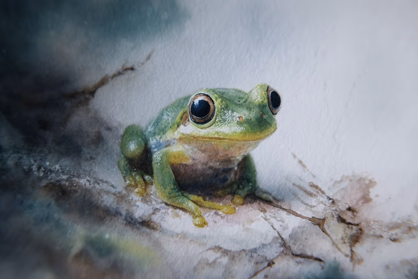 Ilustrace žabičky ve volné přírodě