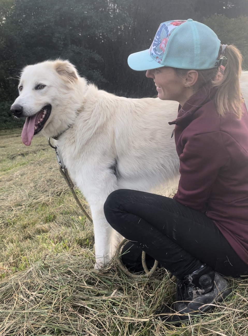 Jemná masáž psa během procházky – přirozená péče a terapeutický dotek ve spojení člověka a zvířete