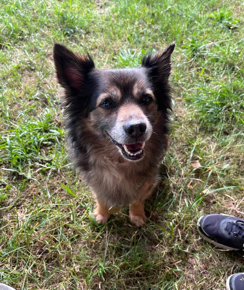 Eva Tomešová a pejsek Santíček