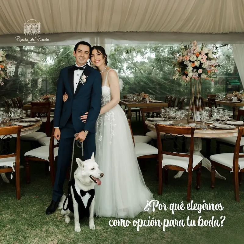 Imagen de la galería de fotos en la página del proveedor de la comunidad de bodas y eventos de Net Bodas&Eventos, que muestra momentos destacados y trabajos creativos para inspirar celebraciones inolvidables.