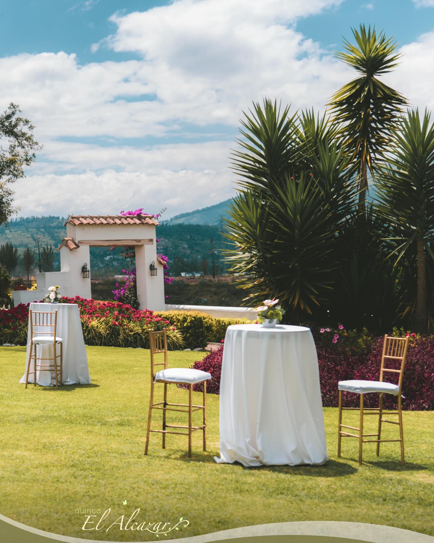 Imagen de la galería de fotos en la página del proveedor de la comunidad de bodas y eventos de Net Bodas&Eventos, que muestra momentos destacados y trabajos creativos para inspirar celebraciones inolvidables.