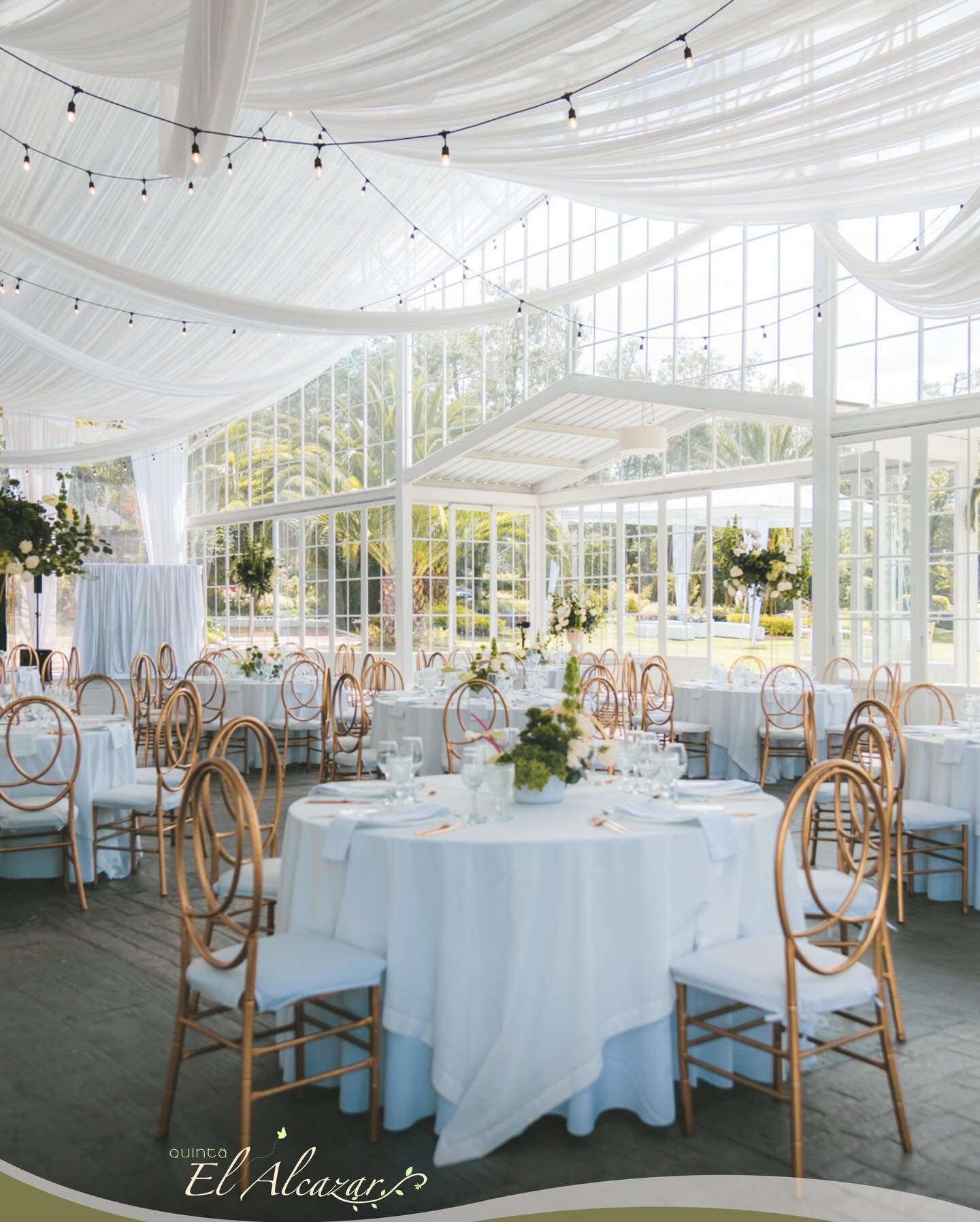 Imagen de la galería de fotos en la página del proveedor de la comunidad de bodas y eventos de Net Bodas&Eventos, que muestra momentos destacados y trabajos creativos para inspirar celebraciones inolvidables.