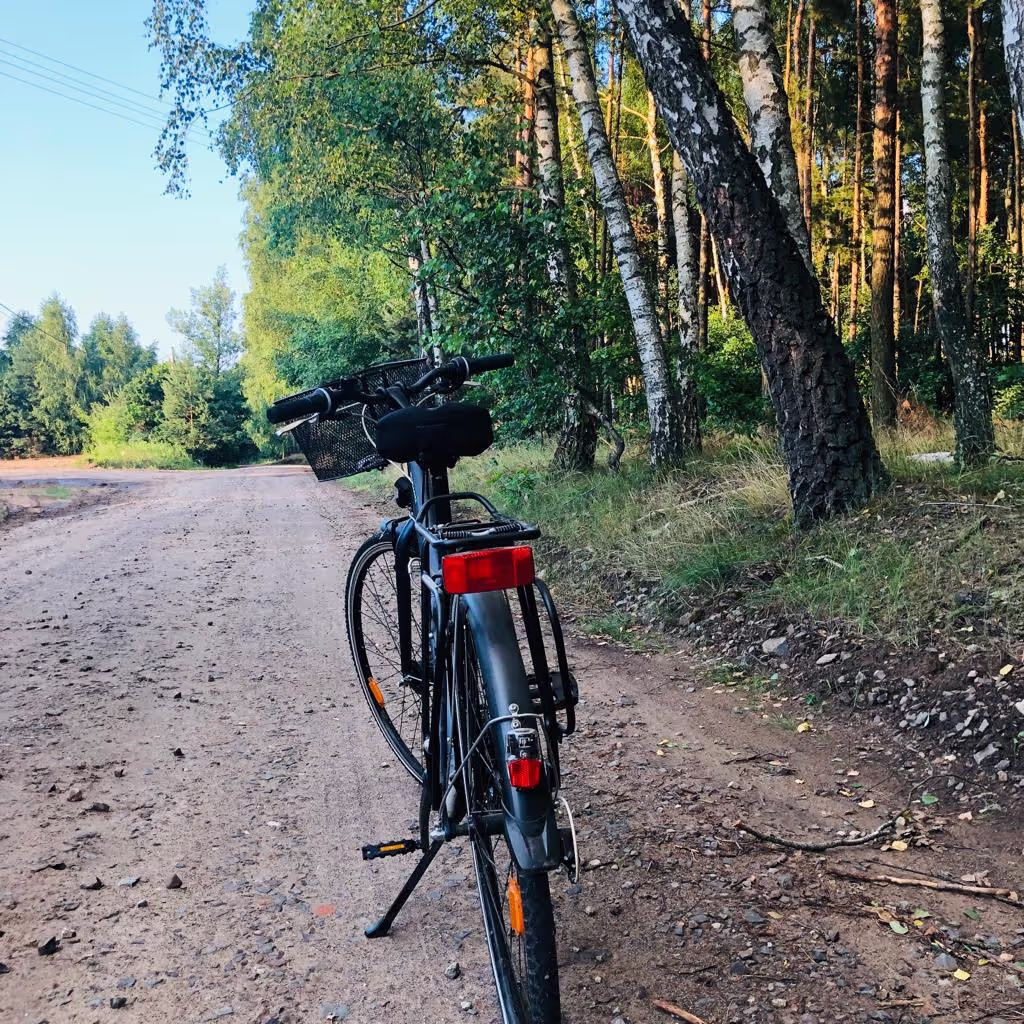 Wycieczki rowerowe wśród lasów wokół Osady Hygge
