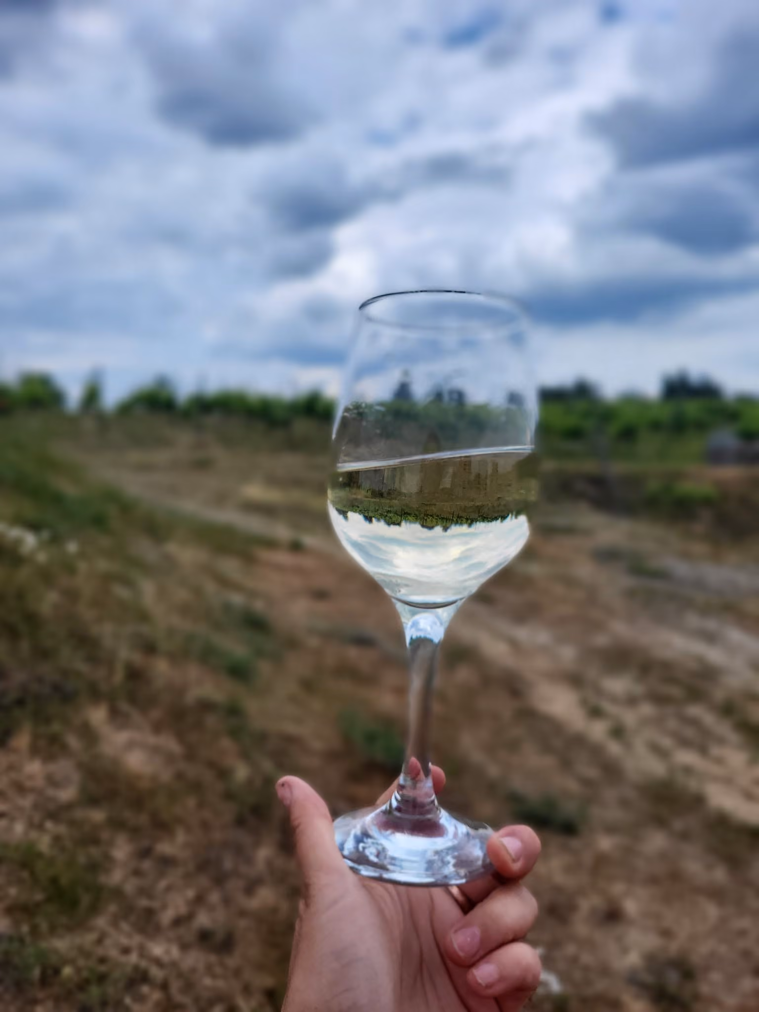 Degustacja win z Winnicy Bona Terra
