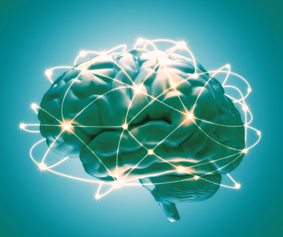 Cerveau illustrant l'architecture cognitive et la clarté décisionnelle