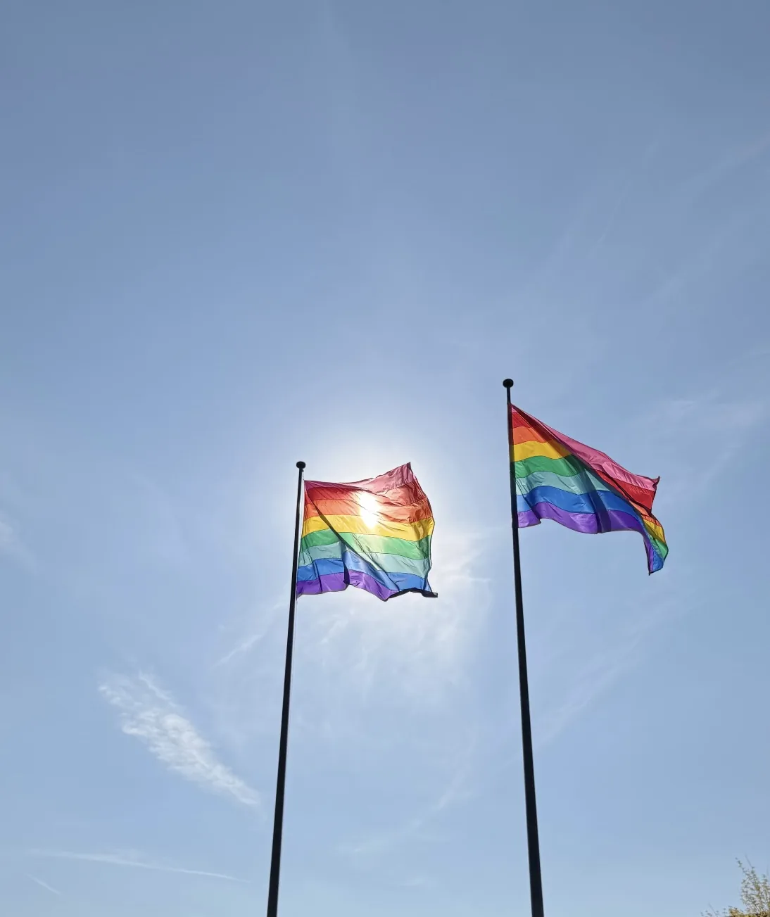 Zwei Regenbogenflaggen wehen im Wind vor blauem Himmel
