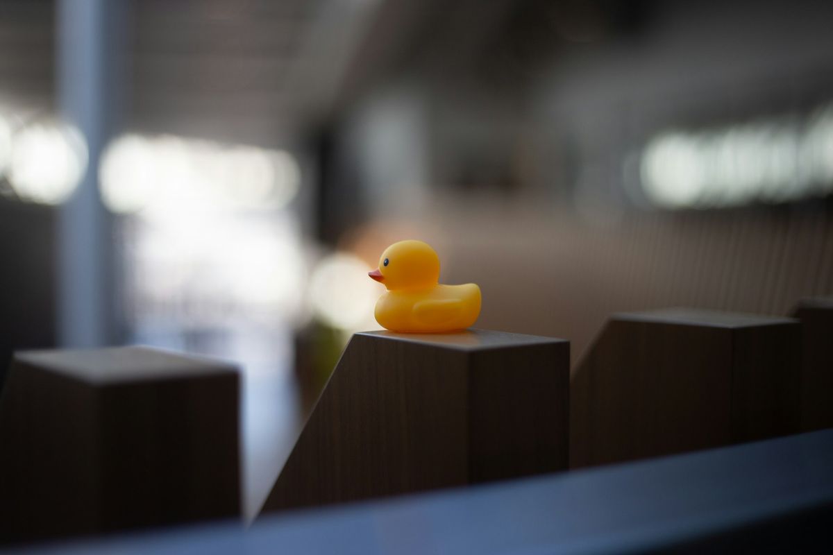a rubber duck sitting on top of a wooden block