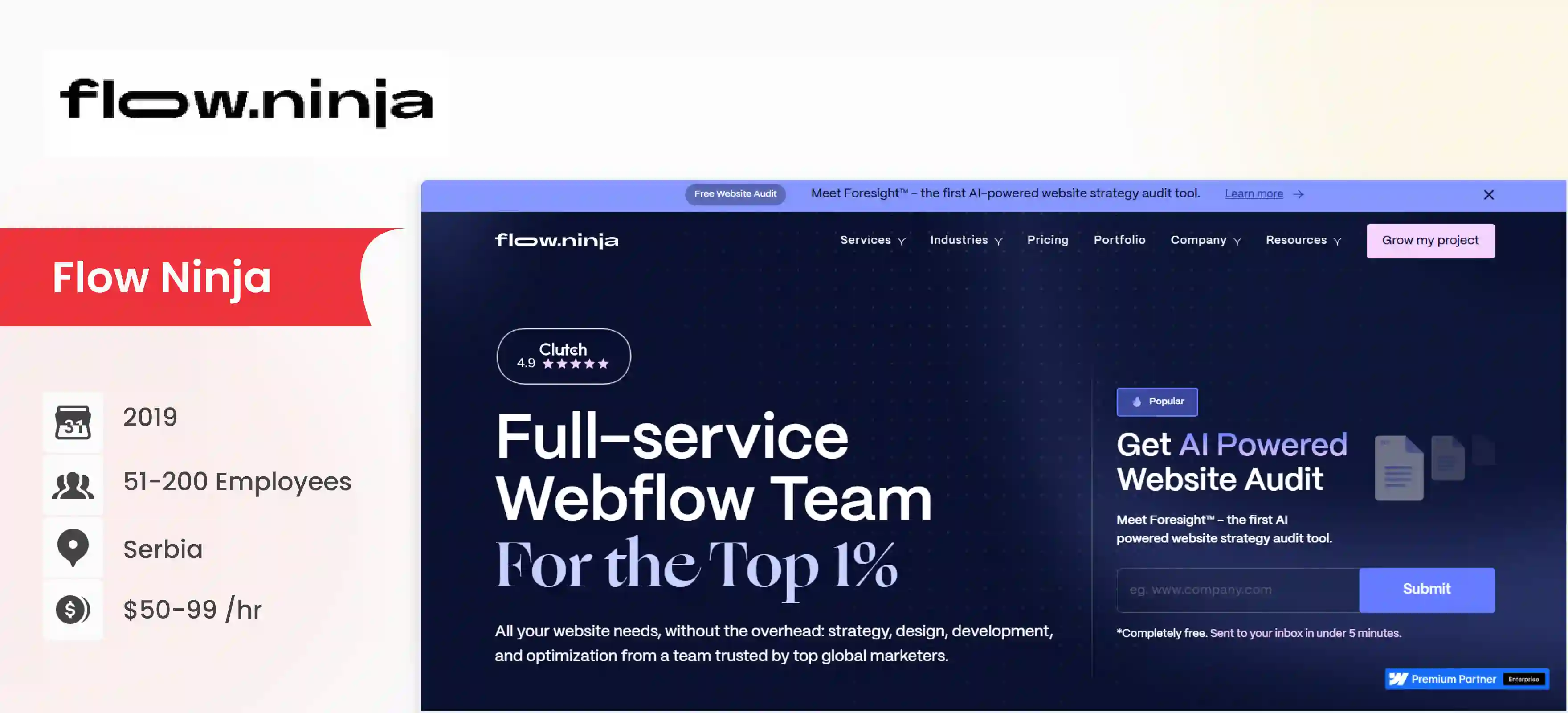 Webflow Development Company Flow Ninja