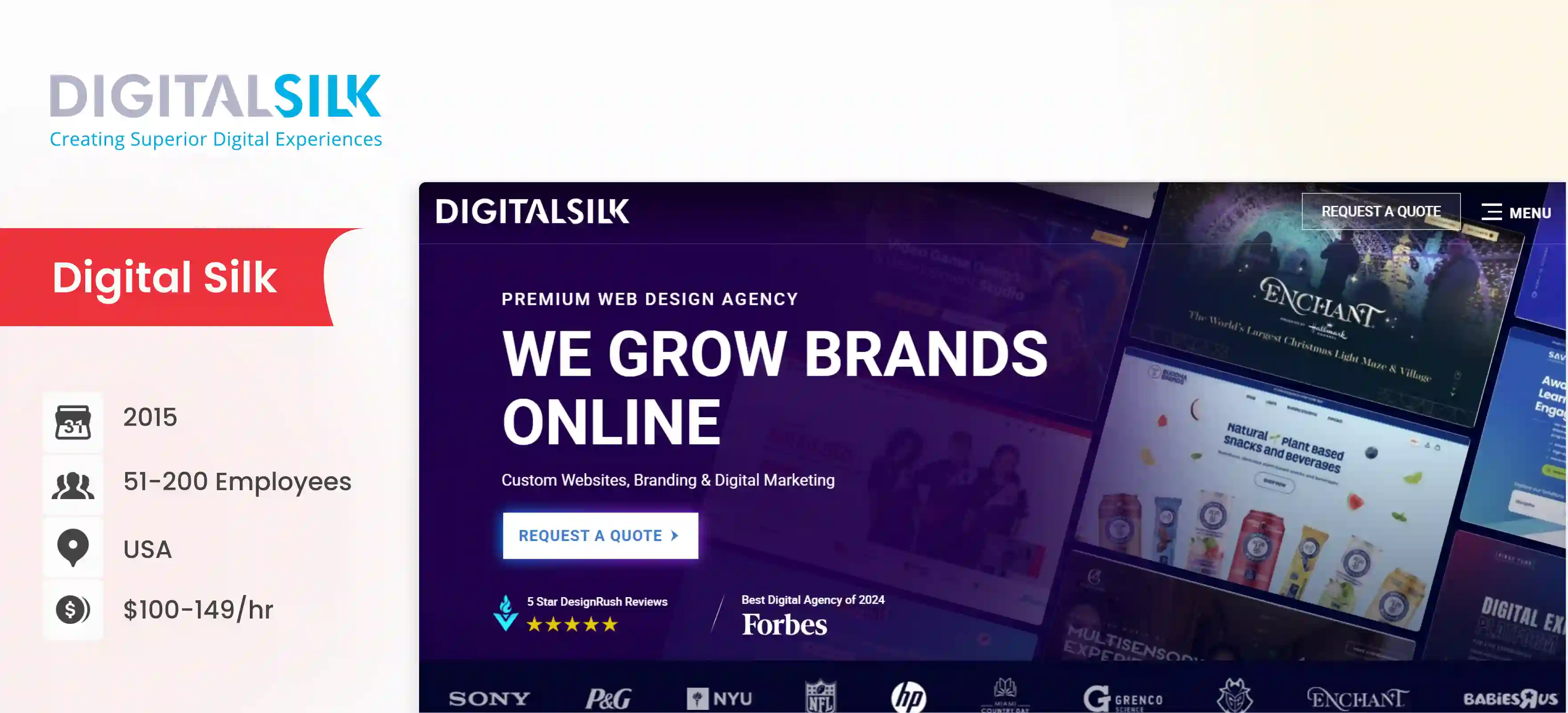 shopify development company Digital SIlk