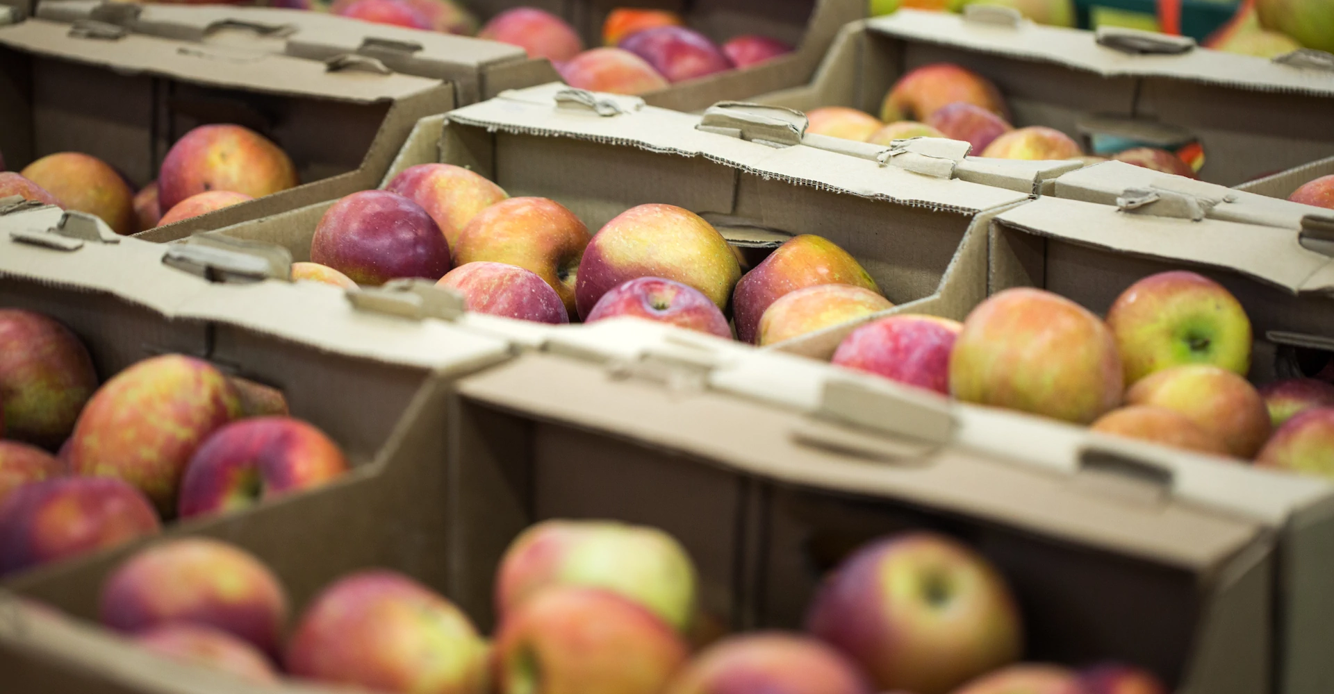 The Role of Natural Hedging in the Food Sector Article ; Apple in the boxes