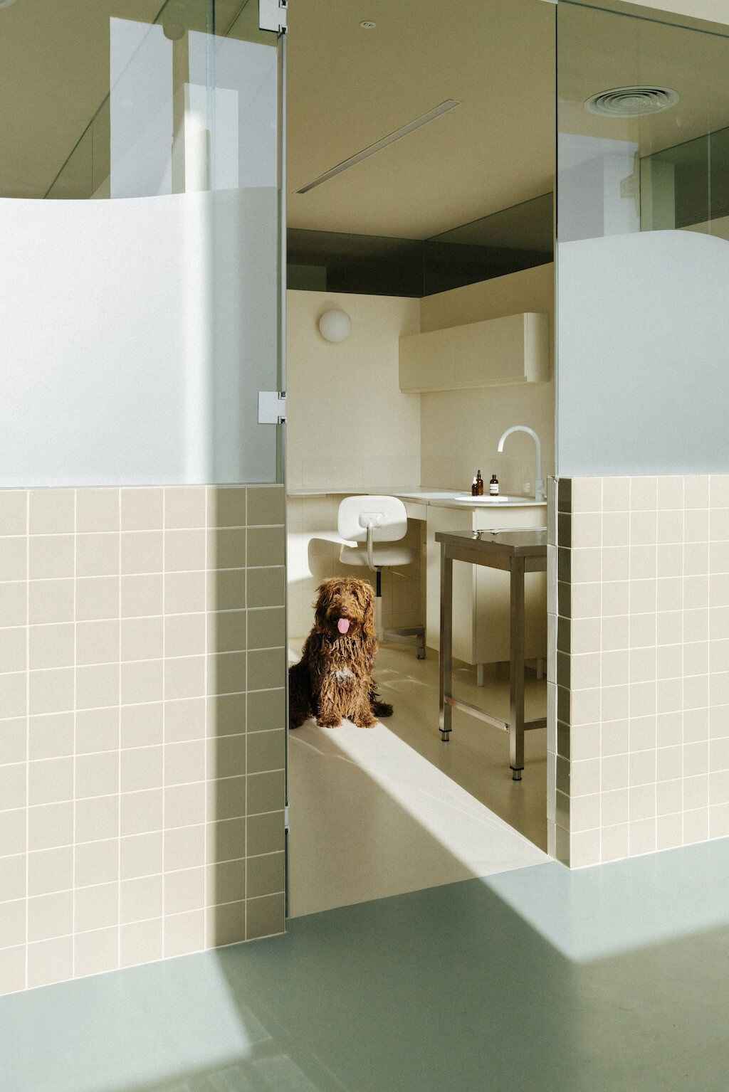 Clinique Vétérinaire L'Ange-Gardien