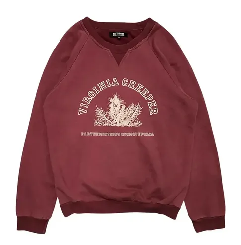 RAF Simons Virginia Creeper Red Sweater