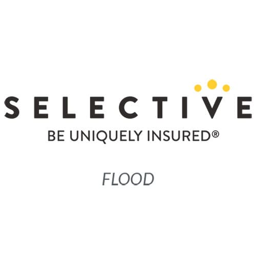 Selective Flood logo