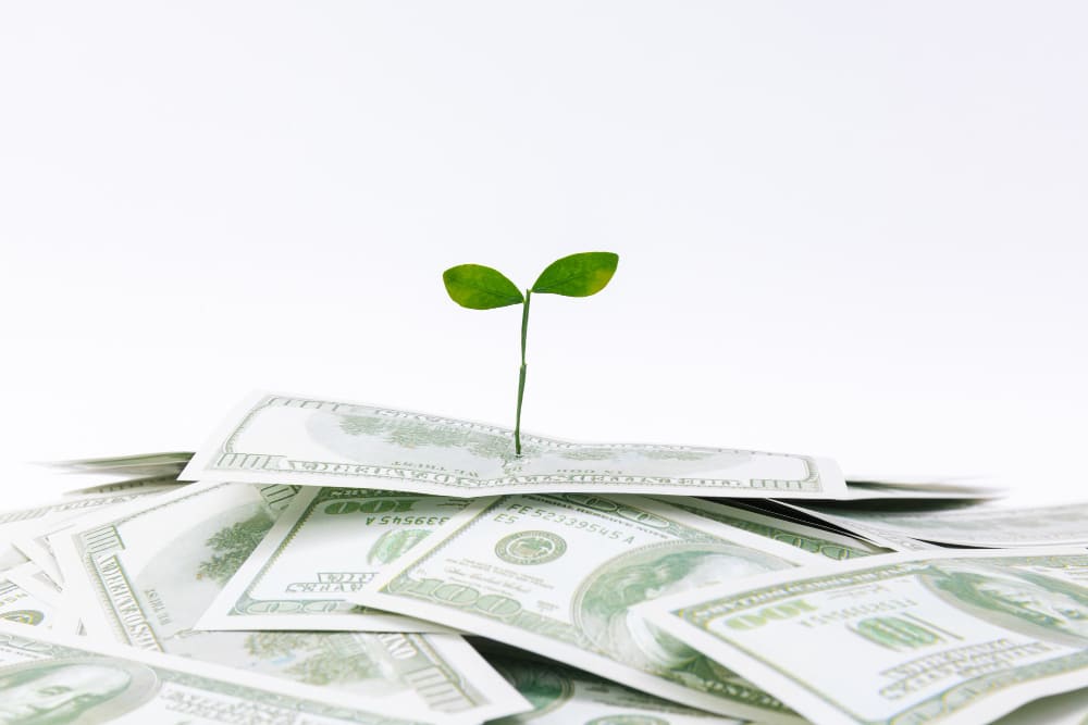 small plant emerging from us bank note sign of savings from green energy