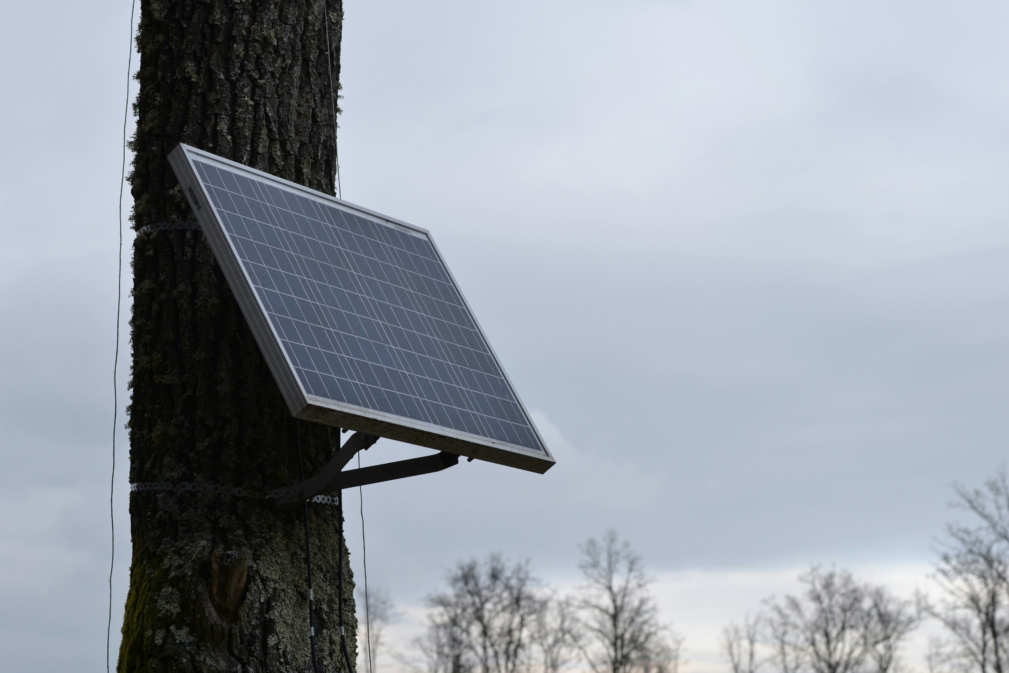 Small solar panel mounted to a tree trunk