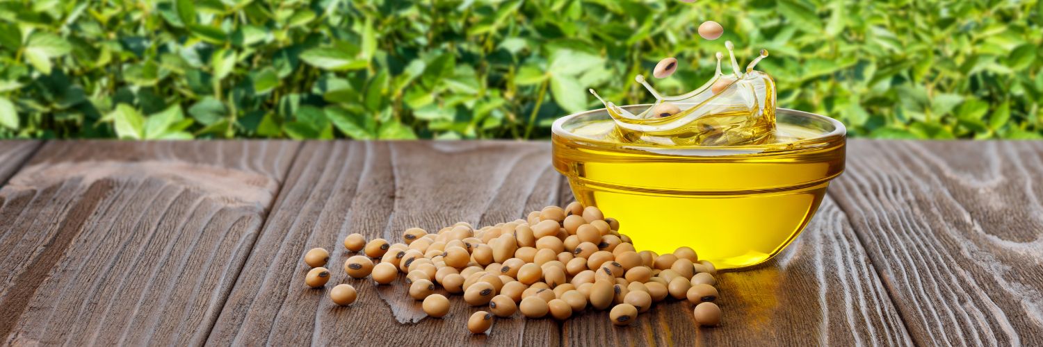 زيت النخيل أصبح وقودا لسيارات السباقات