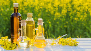 زيت النخيل أصبح وقودا لسيارات السباقات