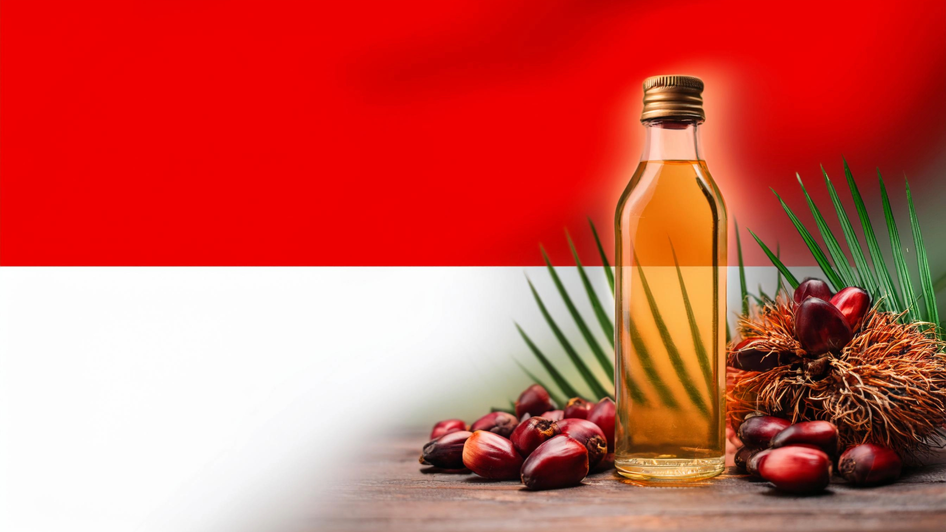 زيت النخيل أصبح وقودا لسيارات السباقات