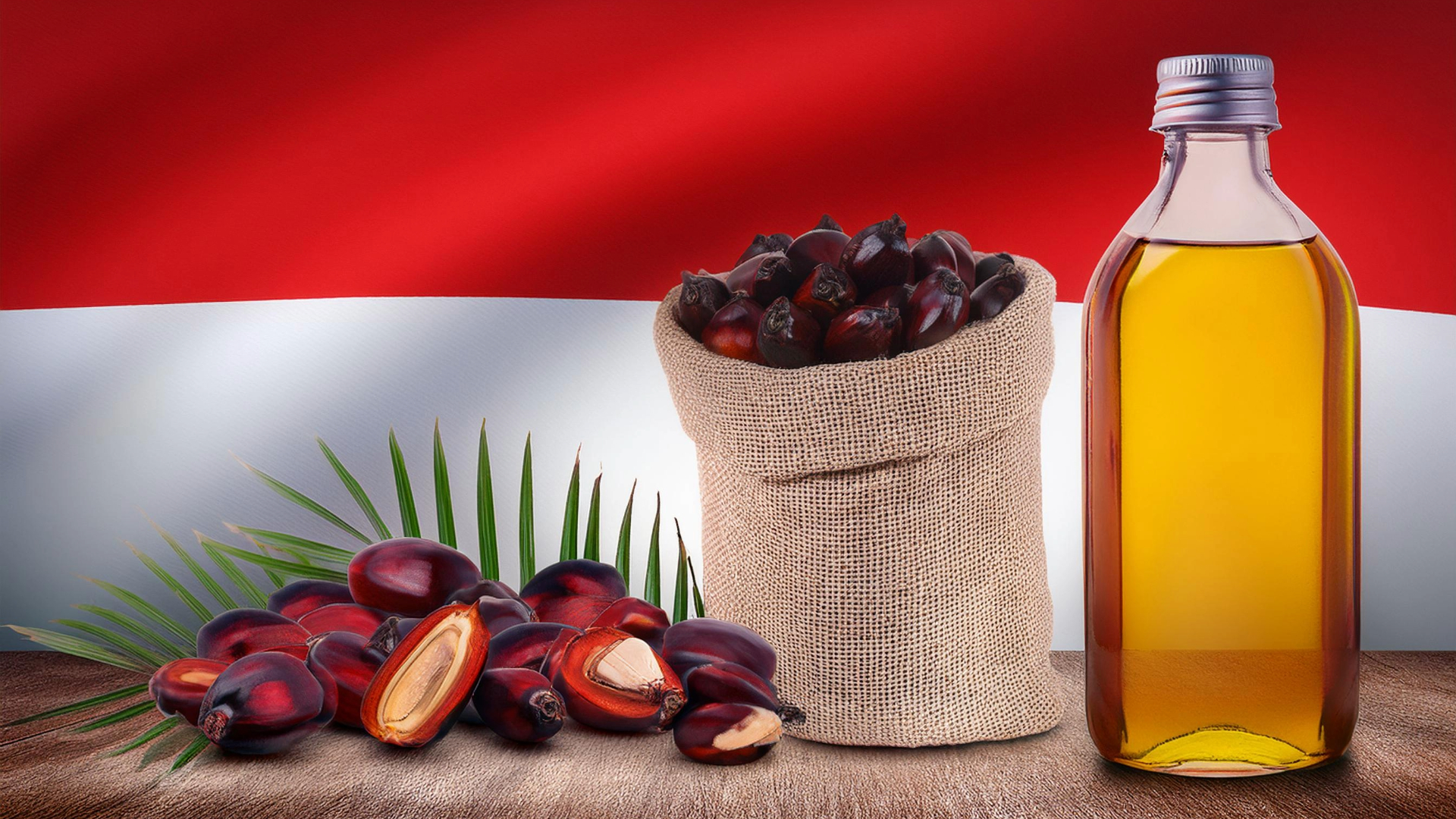 زيت النخيل أصبح وقودا لسيارات السباقات