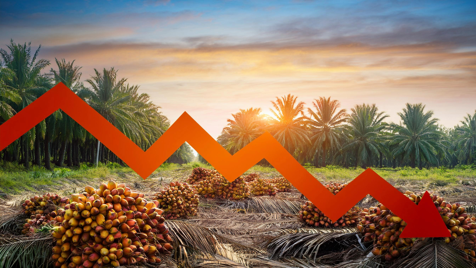 زيت النخيل أصبح وقودا لسيارات السباقات