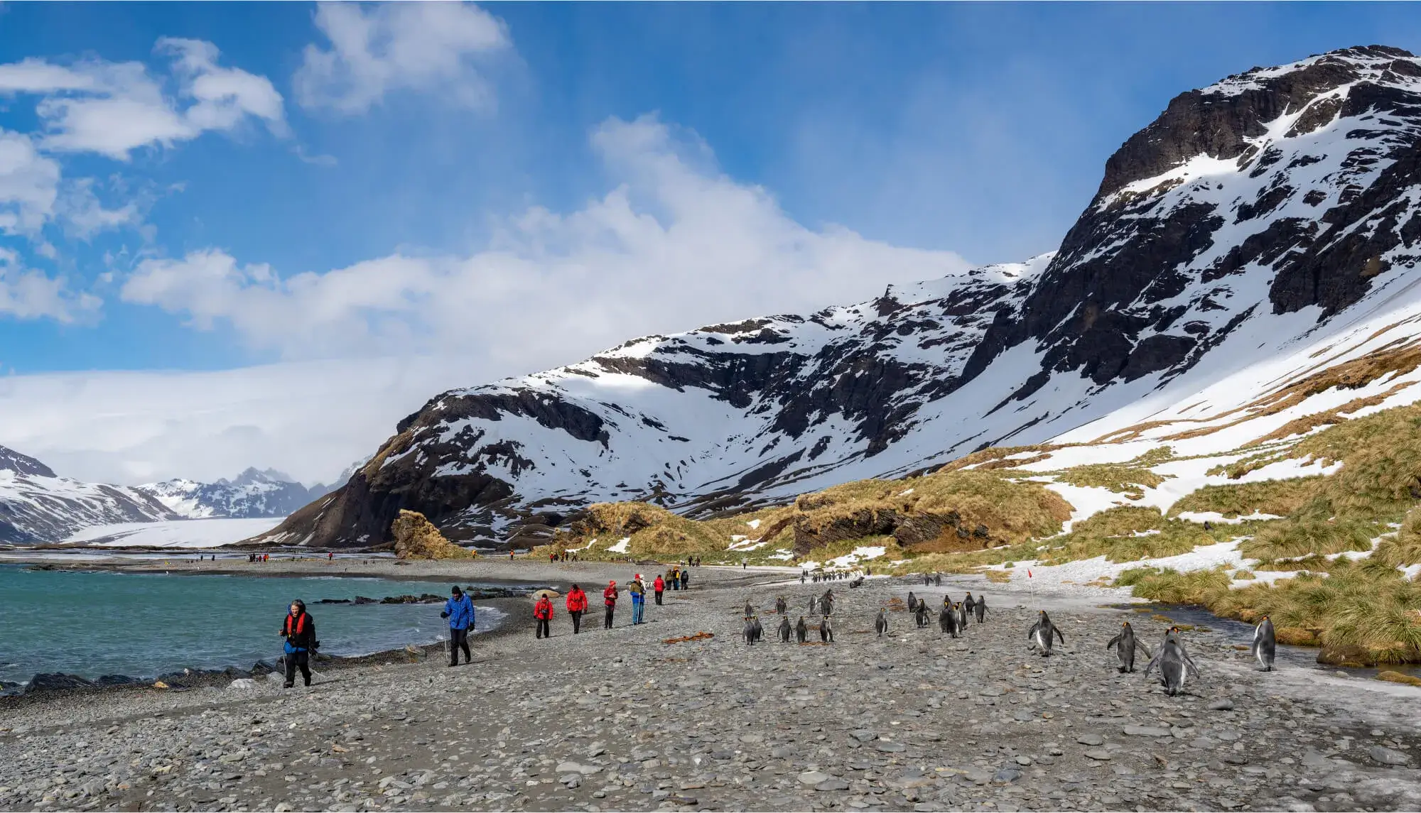 Group of tourists in colorful jackets walking on a rocky beach alongside a large colony of penguins with snow-covered mountains in the background.
