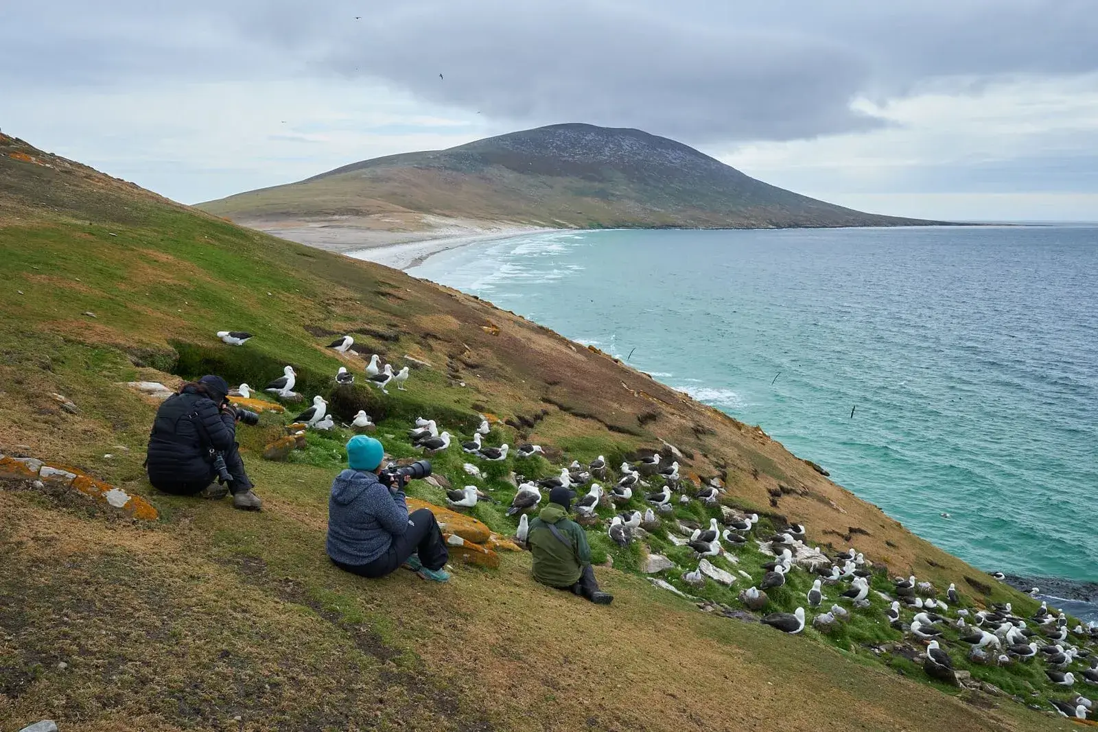 Three people sitting on a grassy hillside photographing a large colony of seagulls near a turquoise sea with a mountain in the background under a cloudy sky.