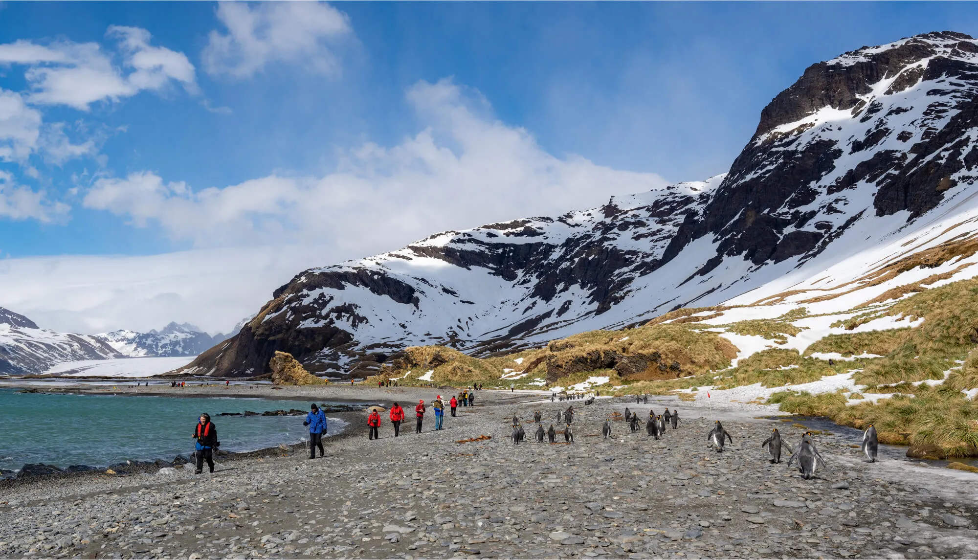 Tourists in colorful jackets walking along a rocky shore near a group of penguins, with snow-covered mountains and blue sky in the background.