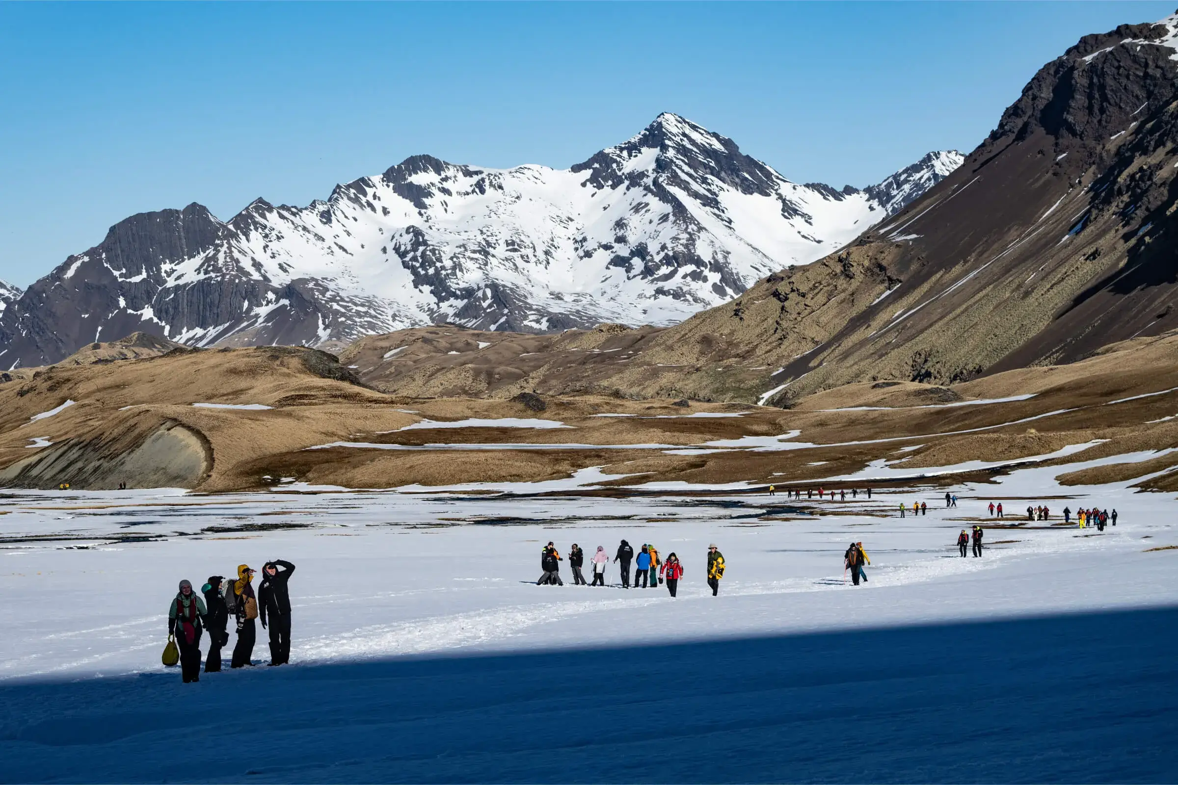 Groups of hikers walking across a snowy plain with brown hills and snow-capped mountains under a clear blue sky.