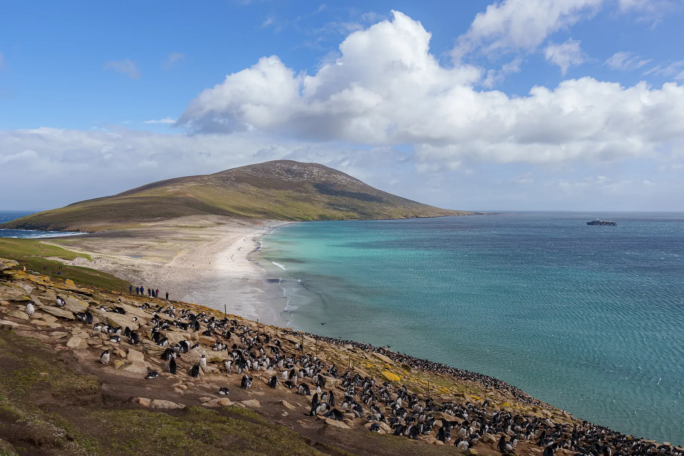 Large colony of penguins on rocky hillside overlooking a sandy beach, turquoise sea, and an island under a partly cloudy blue sky.