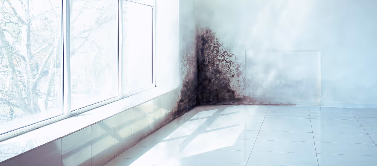 Heller, leerer Raum mit gefliestem Boden und großem Fenster; in der Ecke nahe dem Boden ist Schimmelbildung zu sehen.