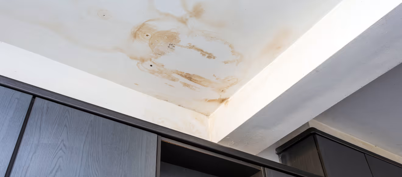 Deckenecke mit dunkelbraunen Wasserflecken und Schimmel über dunklen Holzschränken.