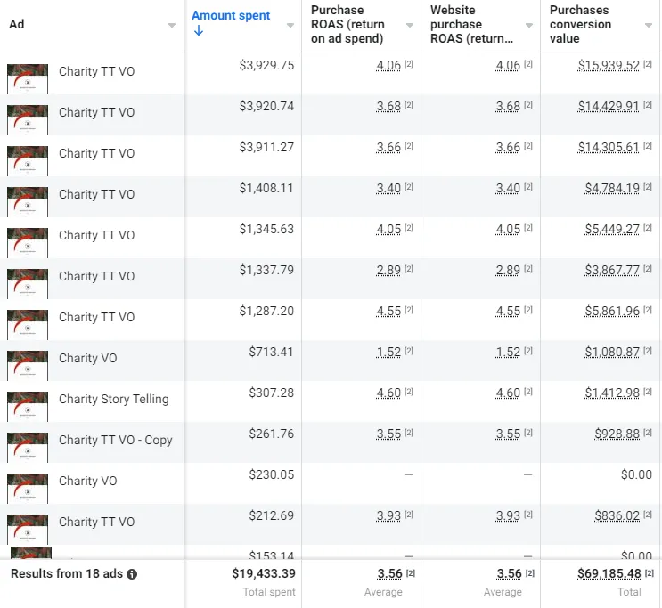 Table showing ad spend, purchase ROAS, website purchase ROAS, and purchase conversion values for 18 charity ads.