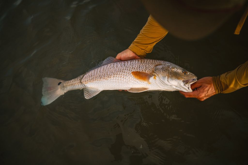 Rockport, Fly Fishing