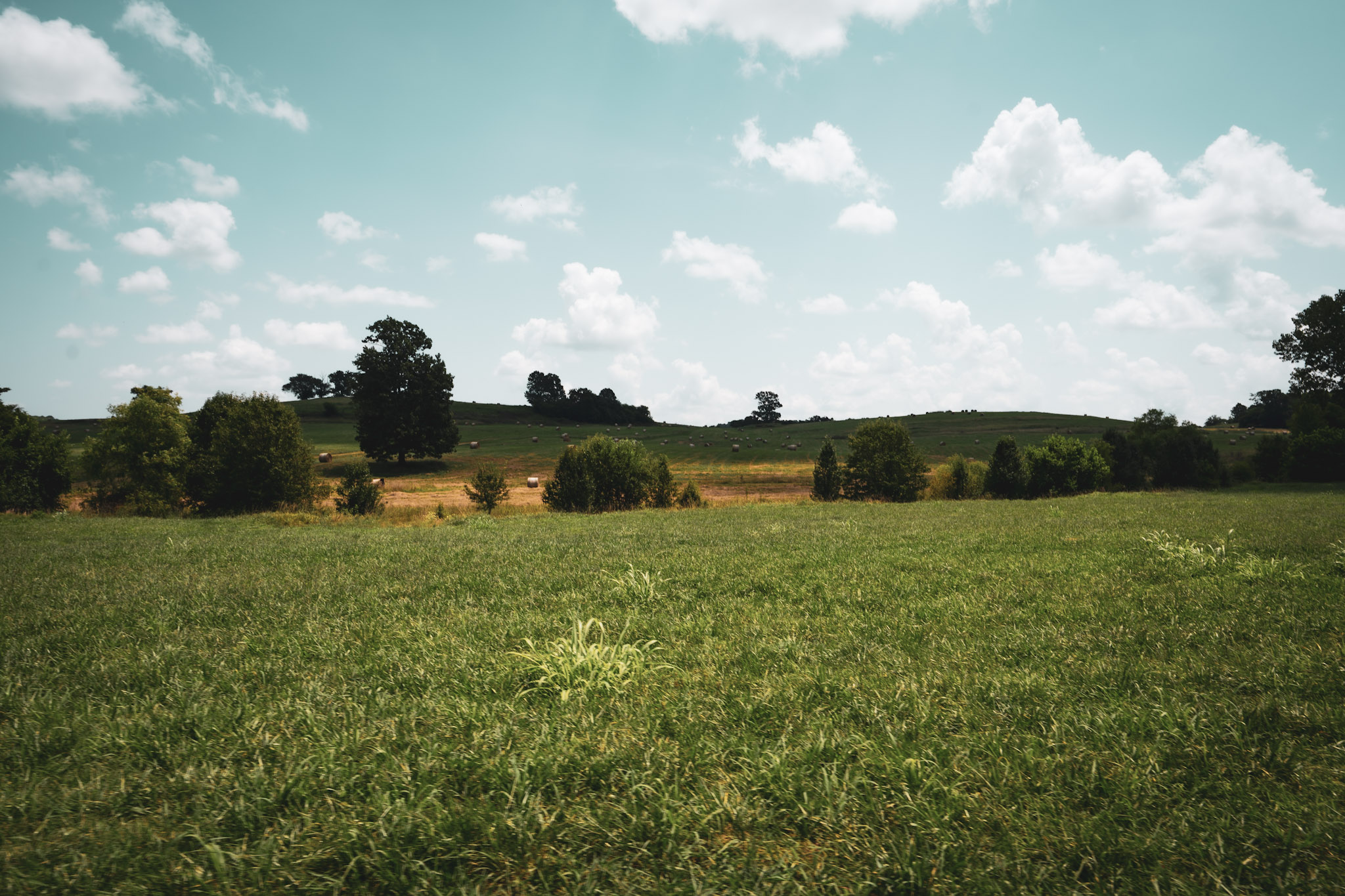 Your BirdDog Landowner Profile Guide — landowner resources — BirdDog land platform