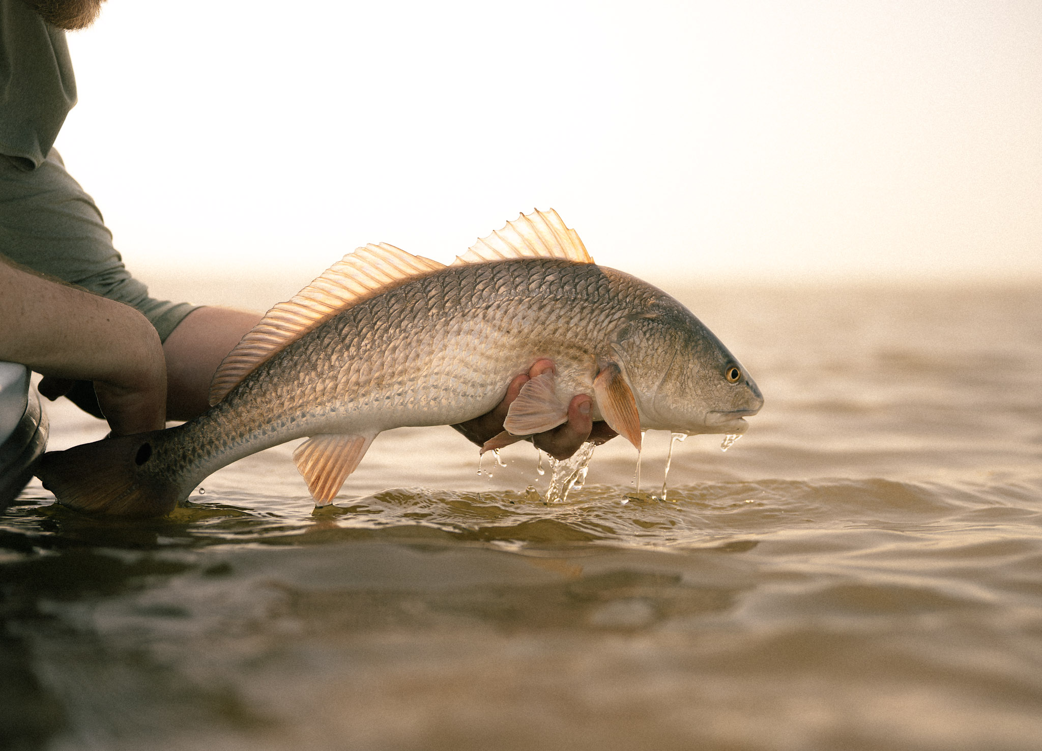 Best Early Spring Fishing Strategies — BirdDog Adventures outdoor lifestyle