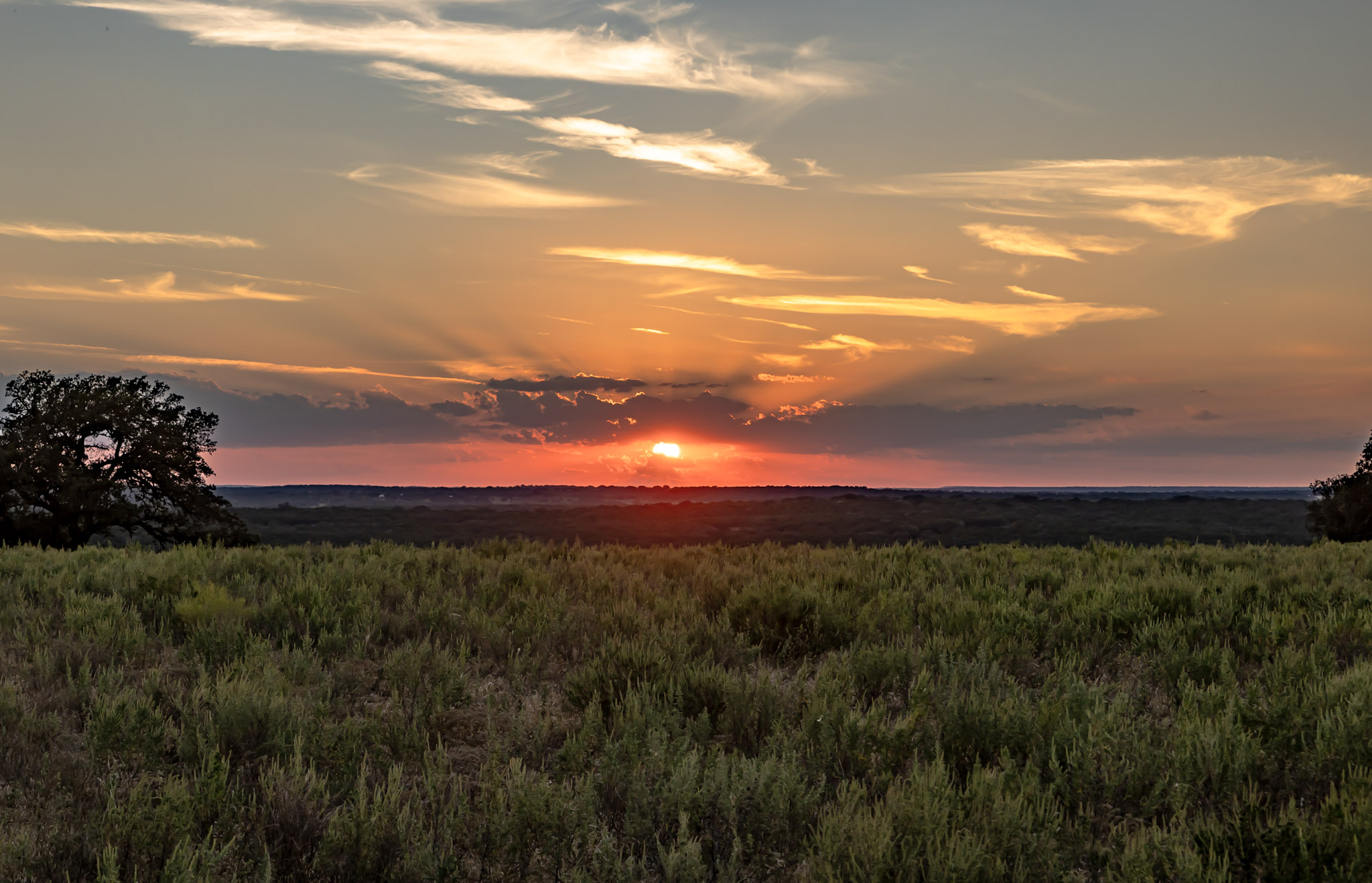 Conservation Awareness — wildlife conservation — BirdDog land stewardship