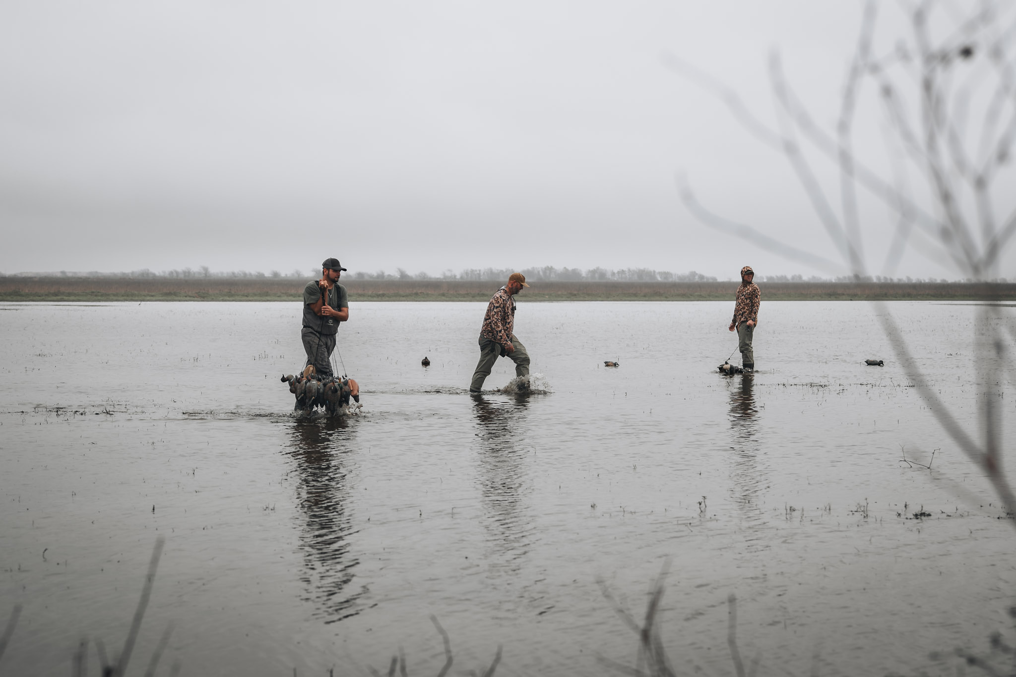 Habitat Management — wildlife conservation — BirdDog land stewardship