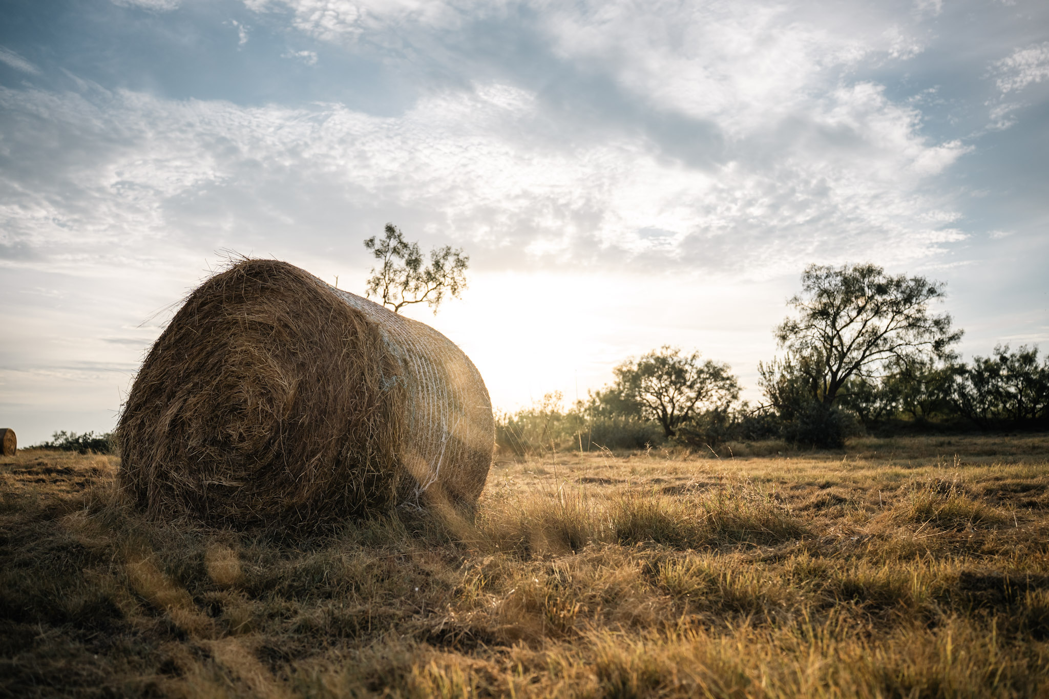 How BirdDog Helps Landowners Execute Section 180 — Section 180 tax deduction for landowners