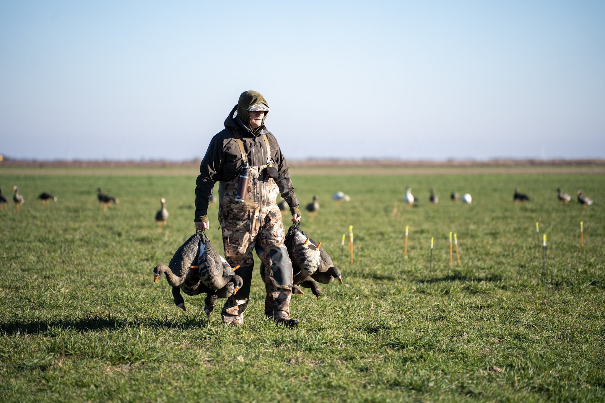 December Waterfowl Hunting – Maximizing the Migration — waterfowl hunting — BirdDog hunting leases