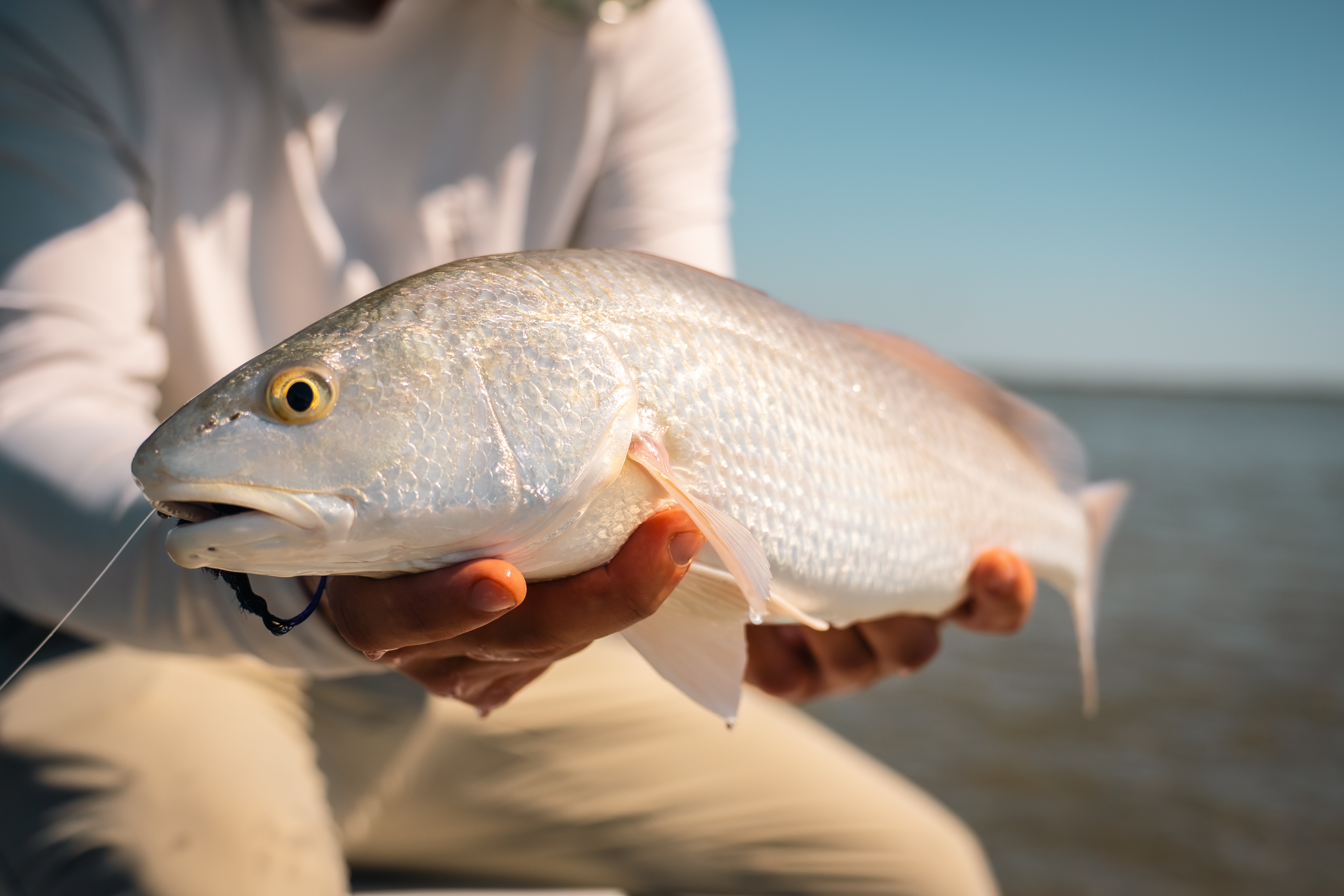 Your Fall Fishing Game Plan — BirdDog Adventures outdoor lifestyle