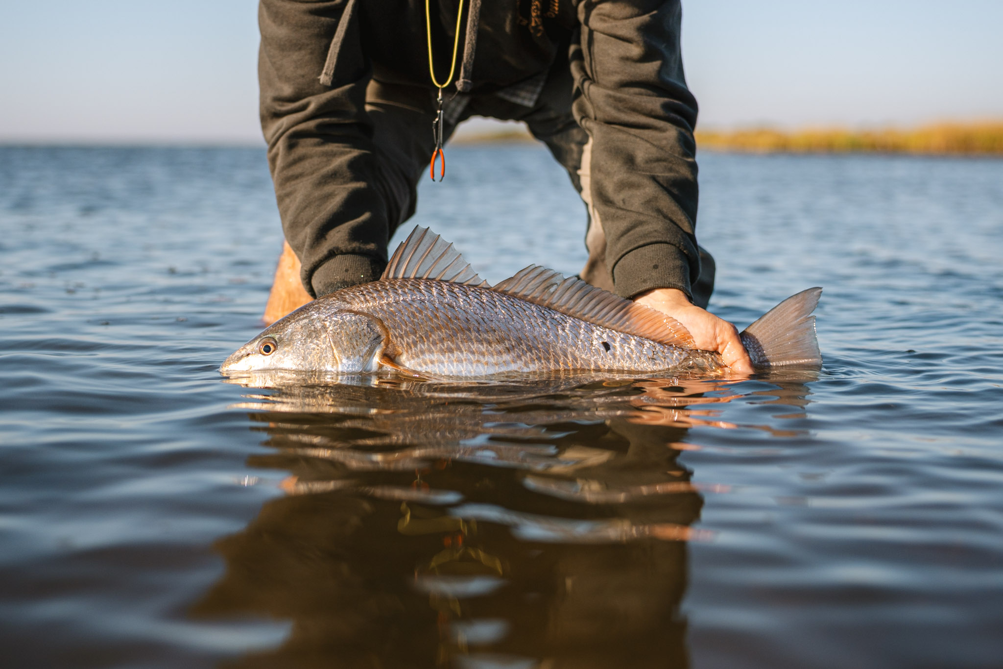Top Saltwater Fish to Catch This Fall on the Texas Coast — water features on rural land — BirdDog