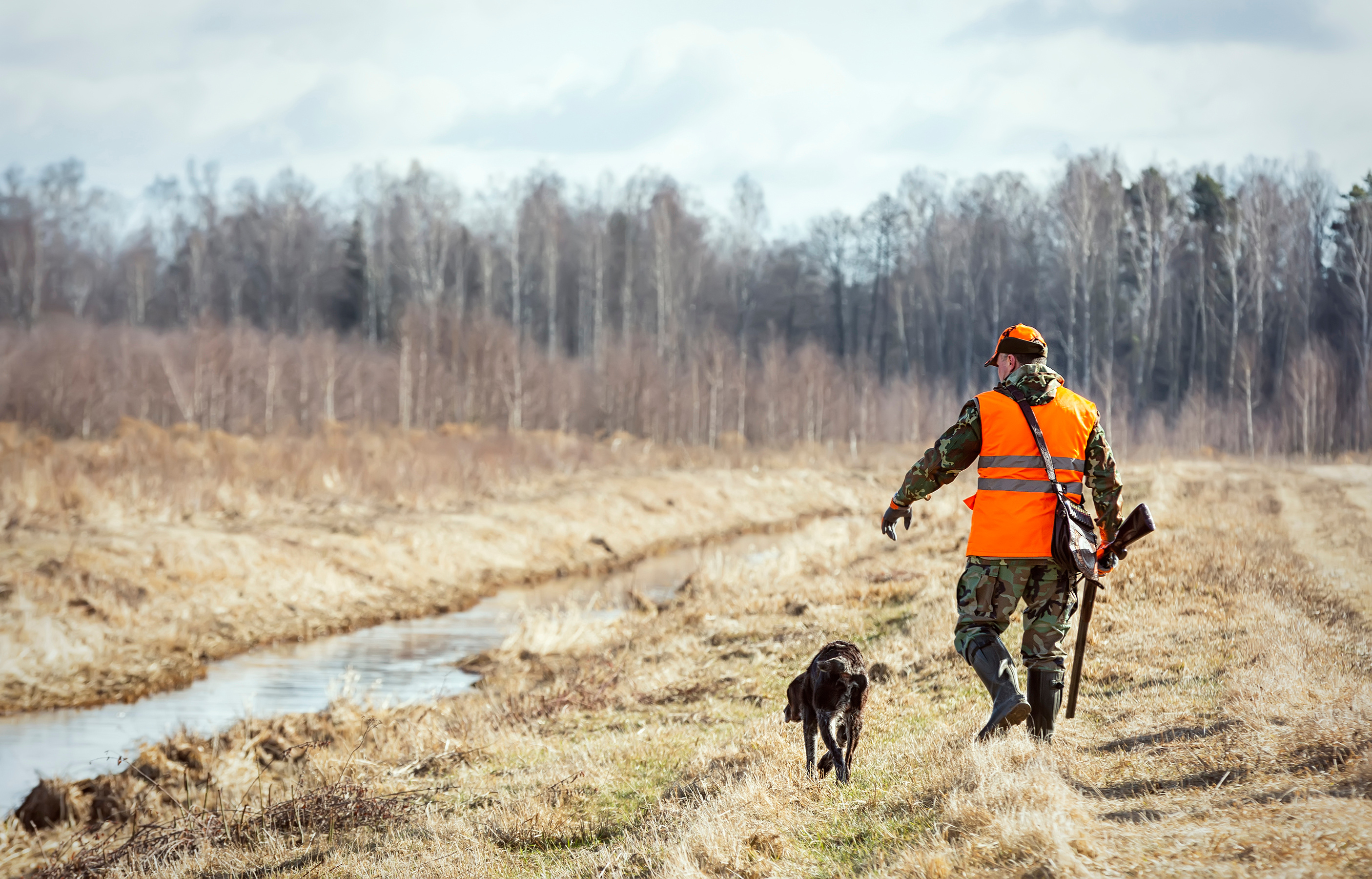Species to Target During Texas Fall Hunting Season — hunting season — BirdDog outdoor platform
