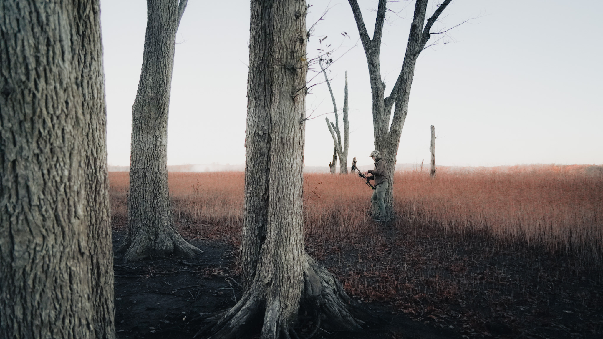 Landowner Prep for Deer Season — whitetail deer hunting — BirdDog hunting marketplace