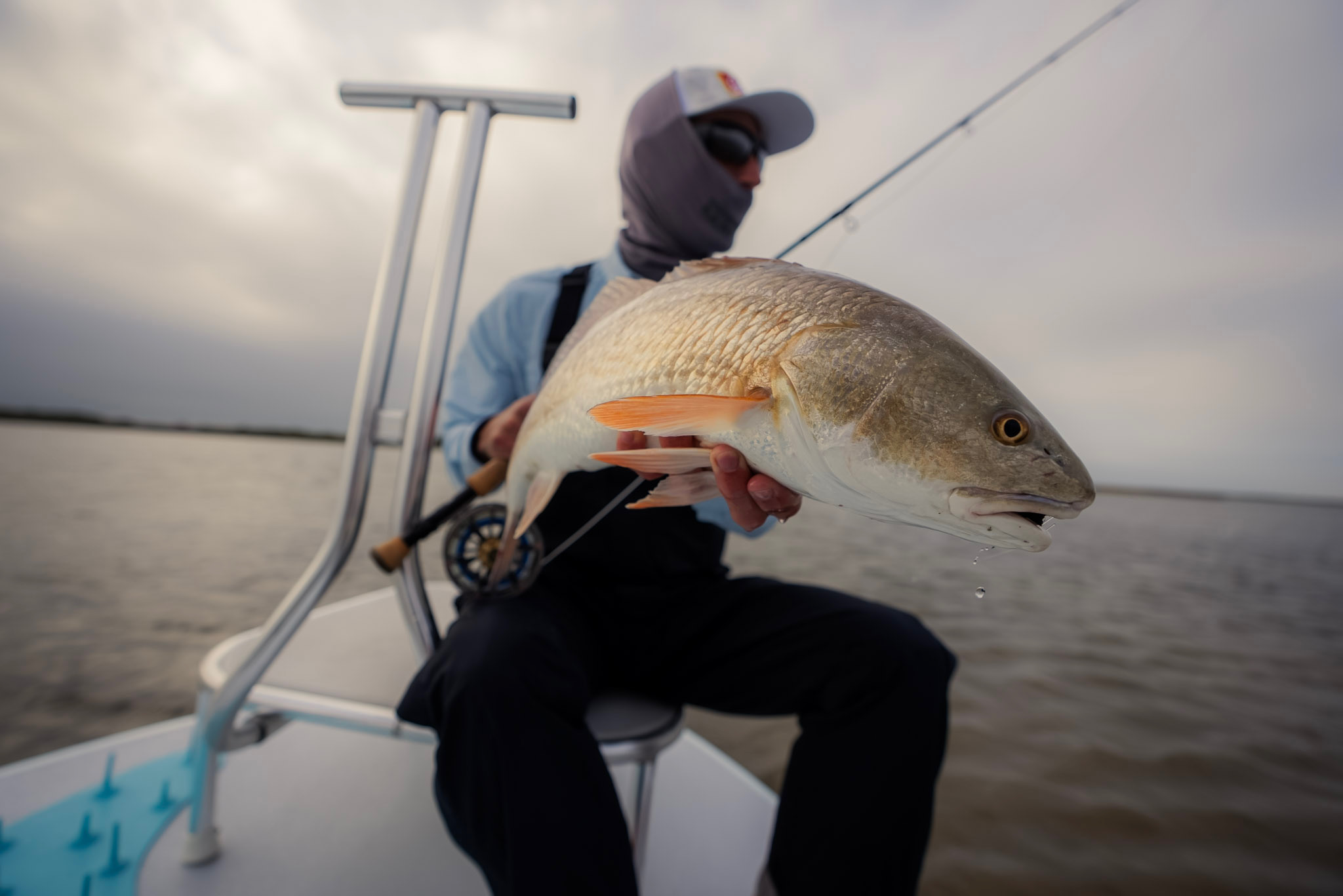 Top Gear for Saltwater Fly Fishing in Coastal Texas — water features on rural land — BirdDog