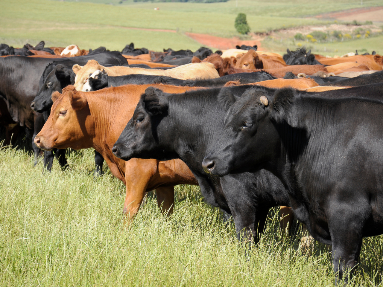 How to Start Making Money on Your Land — BirdDog Adventures outdoor lifestyle