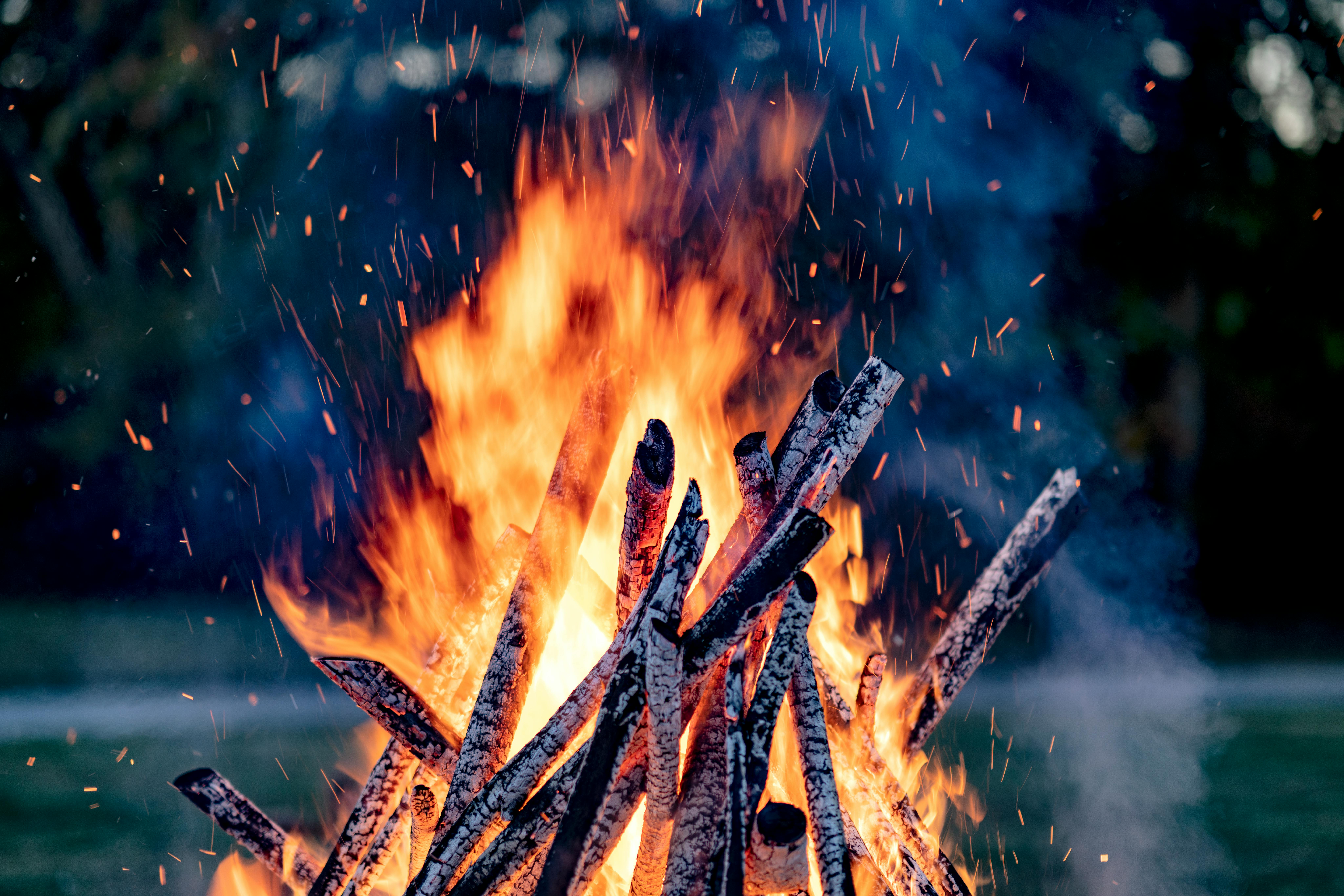 The Rise of Experience-Based Hunting — hunting season — BirdDog outdoor platform