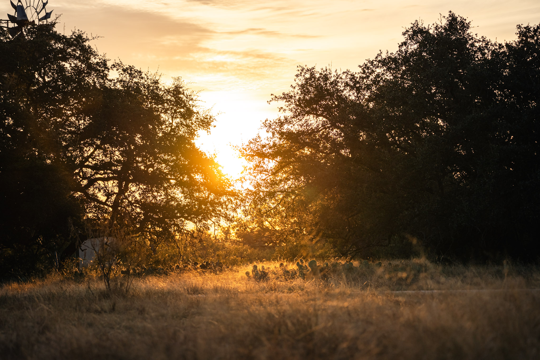 Land stewardship and conservation program BirdDog