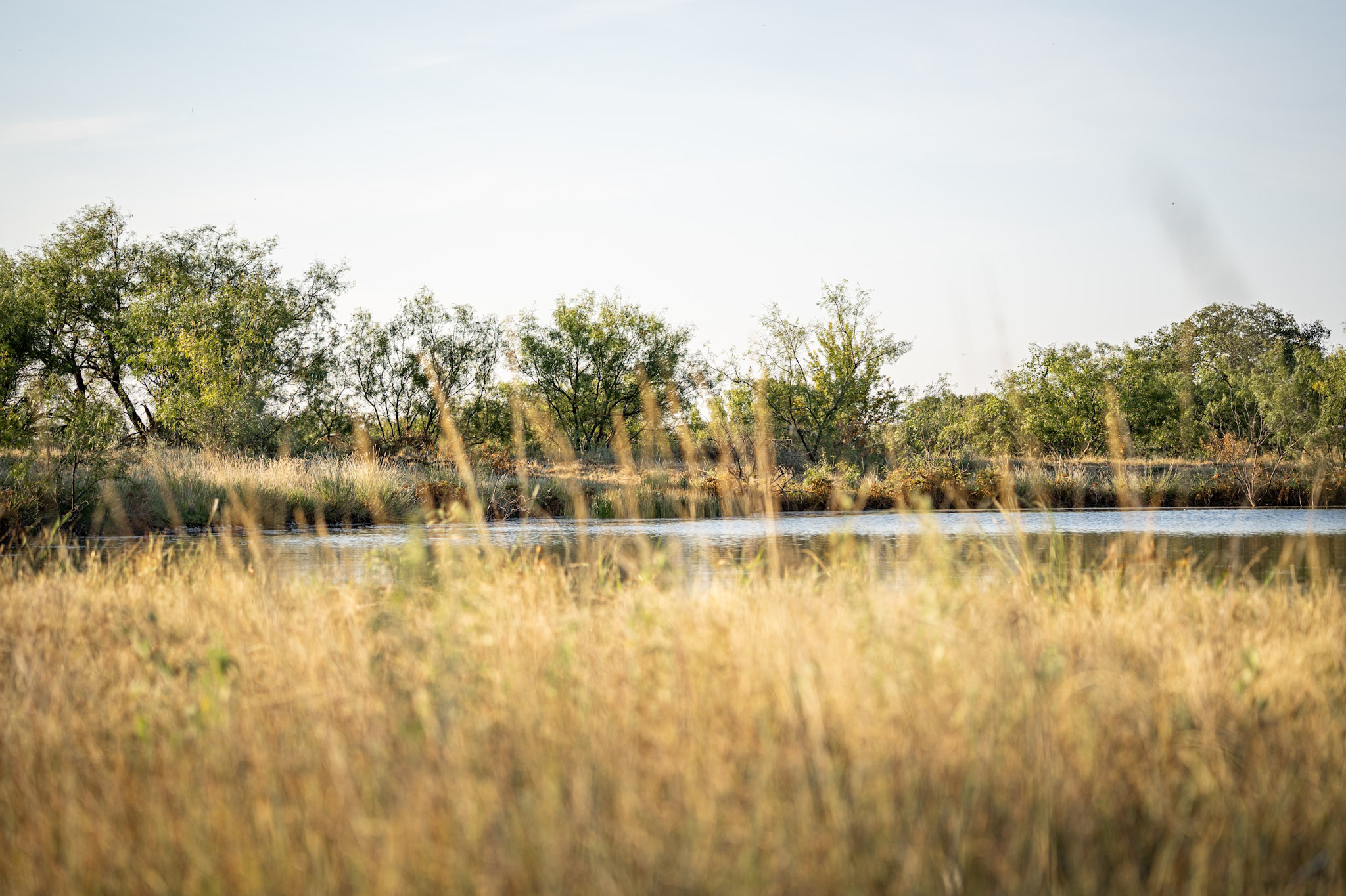 Managing Your Bass Pond in Winter BirdDog