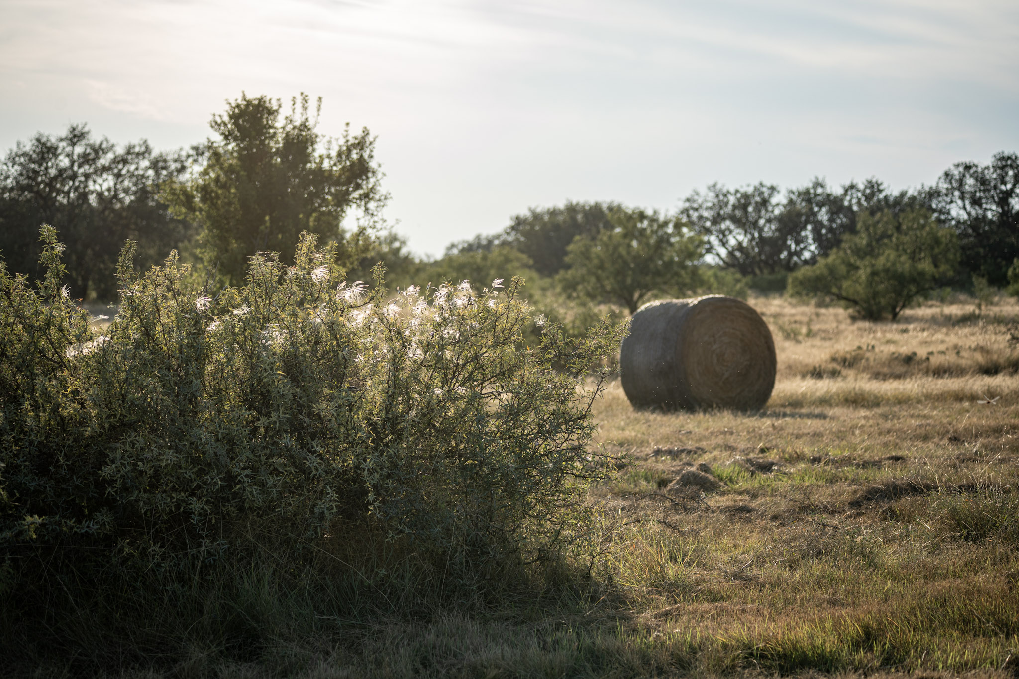 How BirdDog Helps Landowners Execute <a href=